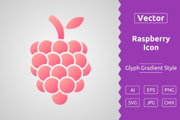 Vector Raspberry Gradient Icon Graphics